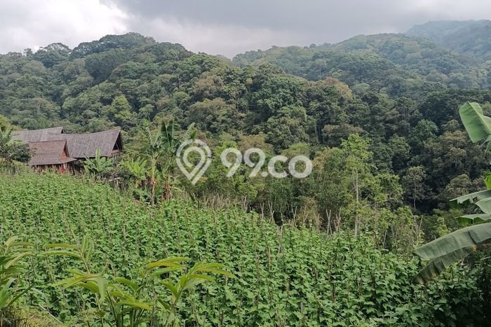 Dijual Tanah di Tabanan, Luas 6475m2 SHM Dijual Tanah di Tabanan, Luas 6475m2 SHM