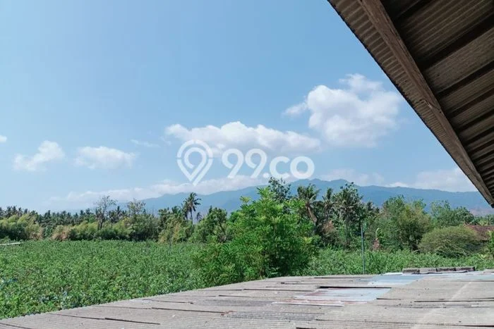 Lahan untuk Dijual di Gerokgak Buleleng Luas 13150m2 Lahan untuk Dijual di Gerokgak Buleleng Luas 13150m2