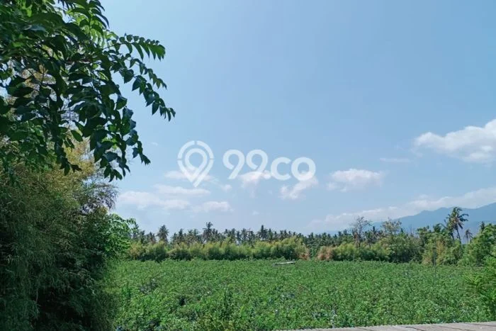 Lahan untuk Dijual di Gerokgak Buleleng Luas 13150m2 Lahan untuk Dijual di Gerokgak Buleleng Luas 13150m2