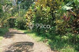 Kavling Tanah untuk Dijual di Dalang, Tabanan, Luas 9150m2 Kavling Tanah untuk Dijual di Dalang, Tabanan, Luas 9150m2