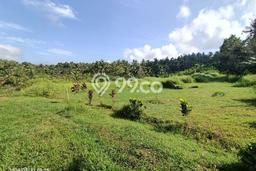 Tanah Dijual Lokasi Selemadeg Tabanan SHM Tanah Dijual Lokasi Selemadeg Tabanan SHM