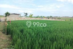Tanah Dijual Area Strategis di Tibubiyu Tabanan 1340m2 Tanah Dijual Area Strategis di Tibubiyu Tabanan 1340m2
