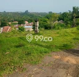 Jarang Ada! Tanah di Kayuputih Punya Luas 800m2 SHM Jarang Ada! Tanah di Kayuputih Punya Luas 800m2 SHM