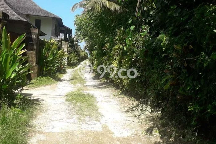Tanah Siap Bangun Dijual di Tabanan Punya Luas 8950m2 Tanah Siap Bangun Dijual di Tabanan Punya Luas 8950m2