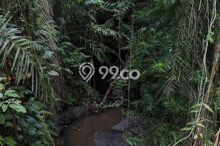Dijual Tanah 8670m2 di Keliki, Gianyar Dijual Tanah 8670m2 di Keliki, Gianyar
