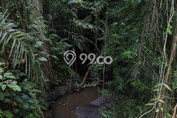 Dijual Tanah 8670m2 di Keliki, Gianyar Dijual Tanah 8670m2 di Keliki, Gianyar
