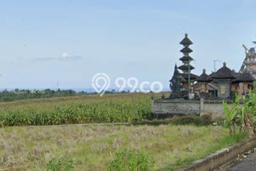 Tanah Kavling Dijual di Tegalmengkeb, Tabanan dengan Luas Tanah 3500m2 Tanah Kavling Dijual di Tegalmengkeb, Tabanan dengan Luas Tanah 3500m2