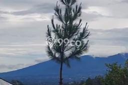 Tanah Dijual Lokasi Kintamani, Bangli Luas 5790m2 Legalitas Aman Tanah Dijual Lokasi Kintamani, Bangli Luas 5790m2 Legalitas Aman