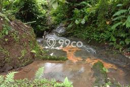 Kavling Tanah Dijual di Penebel, Tabanan, Luas 4650m2 Area Strategis Kavling Tanah Dijual di Penebel, Tabanan, Luas 4650m2 Area Strategis