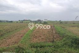 Tanah Dijual Area Strategis di Klecung Tabanan 2000m2 Tanah Dijual Area Strategis di Klecung Tabanan 2000m2