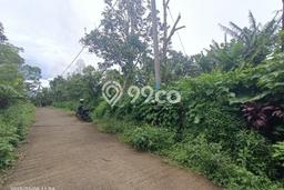 Tanah Kavling Dijual di Wanagiri, Buleleng dengan Luas Tanah 1500m2 Tanah Kavling Dijual di Wanagiri, Buleleng dengan Luas Tanah 1500m2