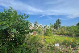 Kavling Tanah Dijual di Ubud, Gianyar, Luas 900m2 Area Strategis Kavling Tanah Dijual di Ubud, Gianyar, Luas 900m2 Area Strategis