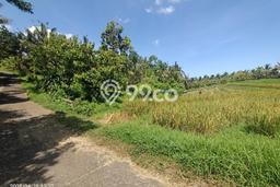 Dijual Tanah 7000m2 di Lumbung, Tabanan Dijual Tanah 7000m2 di Lumbung, Tabanan