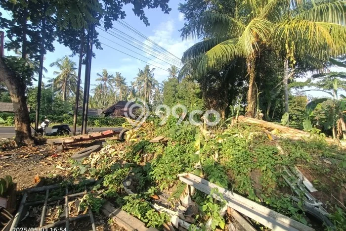 AREA PROSPEKTIF! Tanah di Pekutatan, Luas 300m2m², Dekat Fasilitas Umum, Kawasan Berkembang AREA PROSPEKTIF! Tanah di Pekutatan, Luas 300m2m², Dekat Fasilitas Umum, Kawasan Berkembang