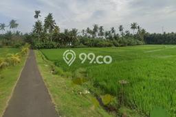 Untuk Dijual Tanah 4805m2 di Pangyangan, Jembrana Untuk Dijual Tanah 4805m2 di Pangyangan, Jembrana