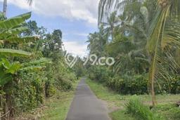 Tanah Siap Bangun Dijual di Jembrana Punya Luas 45000m2 Tanah Siap Bangun Dijual di Jembrana Punya Luas 45000m2