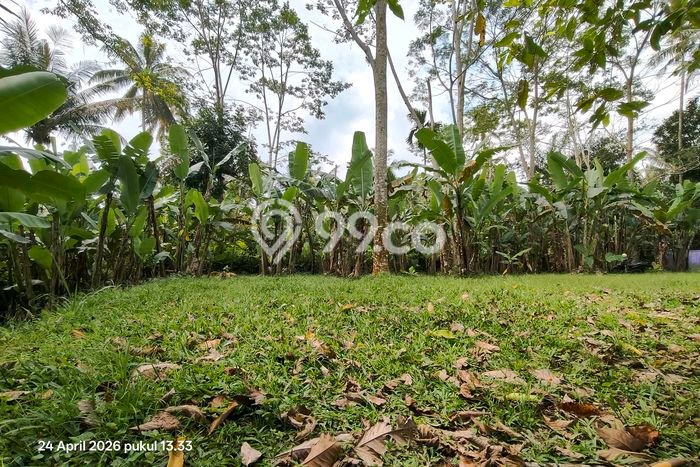Dijual Tanah Lokasi Pupuan, Gianyar Seluas 1389m2 Dijual Tanah Lokasi Pupuan, Gianyar Seluas 1389m2