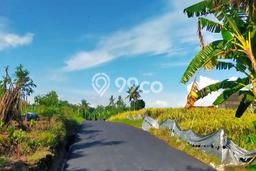 Tanah Dijual di Tabanan Seluas 296m2 Strategis Tanah Dijual di Tabanan Seluas 296m2 Strategis