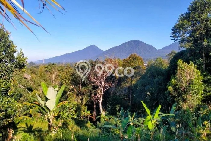 Dijual Tanah di Baturiti Tabanan Luas 2780m2 SHM Dijual Tanah di Baturiti Tabanan Luas 2780m2 SHM