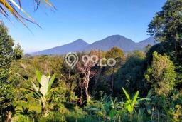 Dijual Tanah di Baturiti Tabanan Luas 2780m2 SHM Dijual Tanah di Baturiti Tabanan Luas 2780m2 SHM