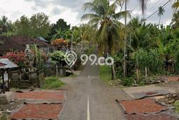 Untuk Dijual Tanah 24150m2 di Medewi, Jembrana Untuk Dijual Tanah 24150m2 di Medewi, Jembrana