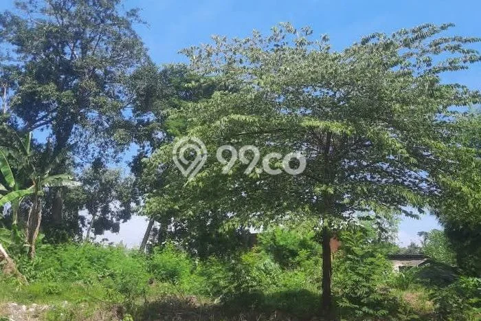 Tanah Disewa Strategis di Tabanan Luas 1097m2 Tanah Disewa Strategis di Tabanan Luas 1097m2