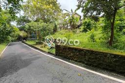 Lahan untuk Disewa di Badung Luas 175m2 Lahan untuk Disewa di Badung Luas 175m2