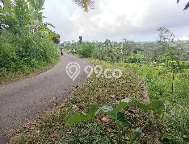 Tanah di Kintamani, Bangli Luas 2800m2 Dijual Segera Tanah di Kintamani, Bangli Luas 2800m2 Dijual Segera