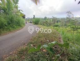 Tanah di Kintamani, Bangli Luas 2800m2 Dijual Segera Tanah di Kintamani, Bangli Luas 2800m2 Dijual Segera
