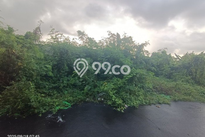 Lahan Dijual Lokasi Strategis di Badung dengan Luas 200m2 Lahan Dijual Lokasi Strategis di Badung dengan Luas 200m2