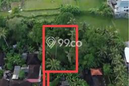 Jarang Ada! Tanah Kavling Disewakan di Gianyar 905m2 Jarang Ada! Tanah Kavling Disewakan di Gianyar 905m2