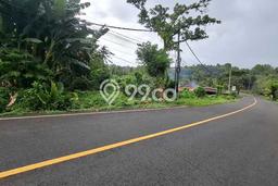 Kavling Tanah untuk Dijual di Antosari, Tabanan, Luas 5000m2 Kavling Tanah untuk Dijual di Antosari, Tabanan, Luas 5000m2