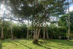 Tanah Kavling Dijual di Lalanglinggah, Tabanan dengan Luas Tanah 11220m2 Tanah Kavling Dijual di Lalanglinggah, Tabanan dengan Luas Tanah 11220m2