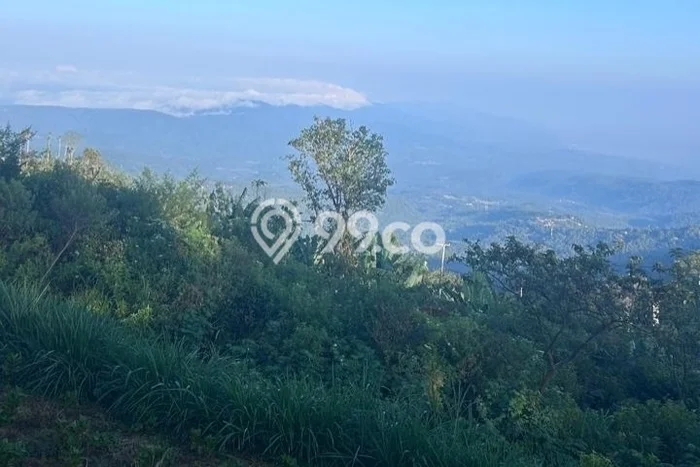 Dijual Tanah Lokasi Munduk, Buleleng Seluas 445m2 Dijual Tanah Lokasi Munduk, Buleleng Seluas 445m2