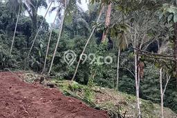 Kavling Tanah Dijual di Tegallalang Gianyar Spesifikasi 2250m2 Kavling Tanah Dijual di Tegallalang Gianyar Spesifikasi 2250m2