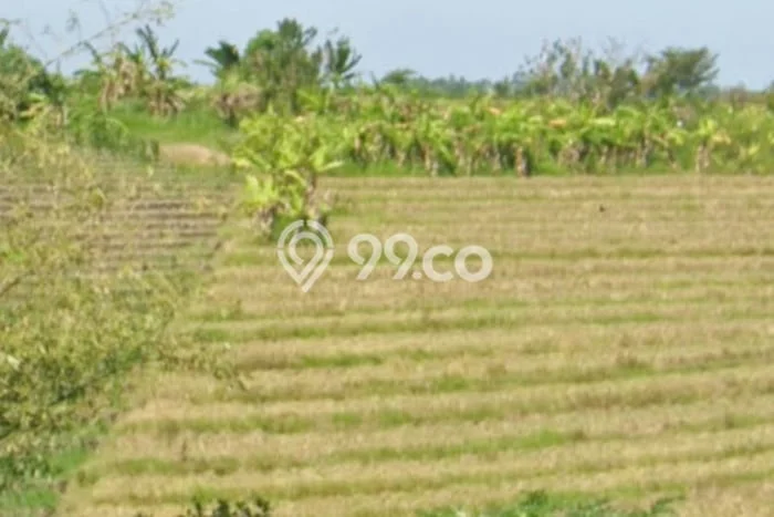 Tanah Kavling Dijual di Tangguntiti, Tabanan dengan Luas Tanah 1575m2 Tanah Kavling Dijual di Tangguntiti, Tabanan dengan Luas Tanah 1575m2