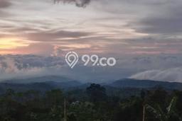 Dijual Tanah Lokasi Gesing, Buleleng Seluas 5225m2 Dijual Tanah Lokasi Gesing, Buleleng Seluas 5225m2