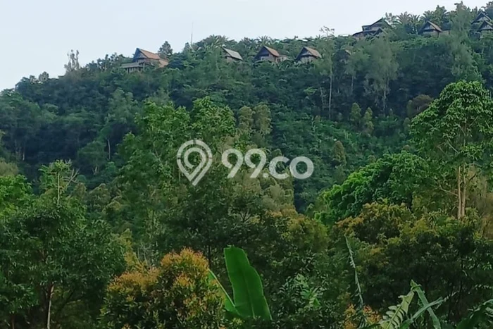 Dijual Tanah Lokasi Munduk, Buleleng Seluas 445m2 Dijual Tanah Lokasi Munduk, Buleleng Seluas 445m2