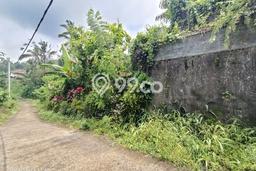 Untuk Dijual Tanah di Tabanan, Luas 6500m2 SHM Untuk Dijual Tanah di Tabanan, Luas 6500m2 SHM
