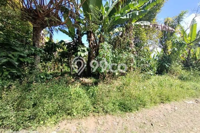 Untuk Dijual Tanah di Buleleng, Luas 1180m2 SHM Untuk Dijual Tanah di Buleleng, Luas 1180m2 SHM