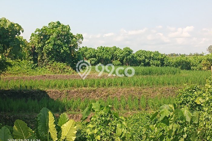 Dijual Tanah 400m2 di Tibubiyu, Tabanan Dijual Tanah 400m2 di Tibubiyu, Tabanan