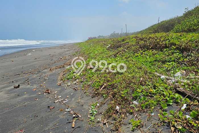 Tanah Dijual di Tabanan Seluas 6915m2 Strategis Tanah Dijual di Tabanan Seluas 6915m2 Strategis