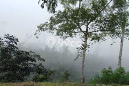 Untuk Dijual Tanah 250m2 di Wanagiri, Buleleng Untuk Dijual Tanah 250m2 di Wanagiri, Buleleng