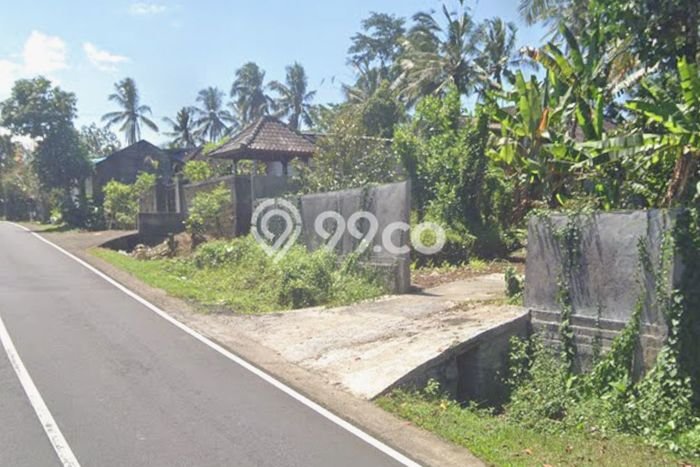 Tanah Dijual Lokasi Strategis di Tabanan dengan Luas 2000m2 Tanah Dijual Lokasi Strategis di Tabanan dengan Luas 2000m2