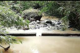 Tanah Dijual Area Strategis di Serampingan Tabanan 2270m2 Tanah Dijual Area Strategis di Serampingan Tabanan 2270m2