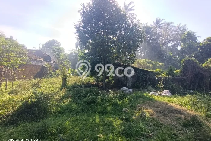 Tanah untuk Disewakan di Ubud Gianyar SHM Tanah untuk Disewakan di Ubud Gianyar SHM