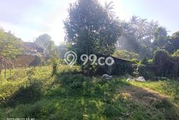 Tanah untuk Disewakan di Ubud Gianyar SHM Tanah untuk Disewakan di Ubud Gianyar SHM