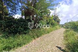 Tanah Dijual Lokasi Strategis di Buleleng dengan Luas 1180m2 Tanah Dijual Lokasi Strategis di Buleleng dengan Luas 1180m2