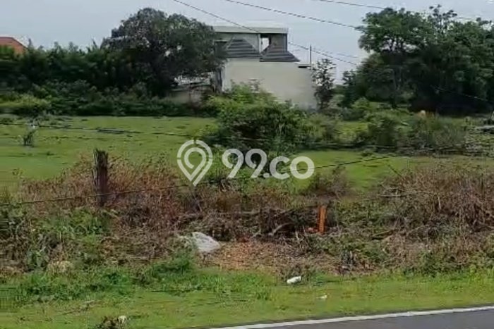 Tanah Kavling Dijual di Badung dengan Spesifikasi 3500m2 Tanah Kavling Dijual di Badung dengan Spesifikasi 3500m2