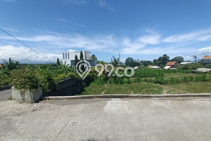 Tanah Disewa di Keramas Strategis dan Memiliki Luas 2600m2 Tanah Disewa di Keramas Strategis dan Memiliki Luas 2600m2